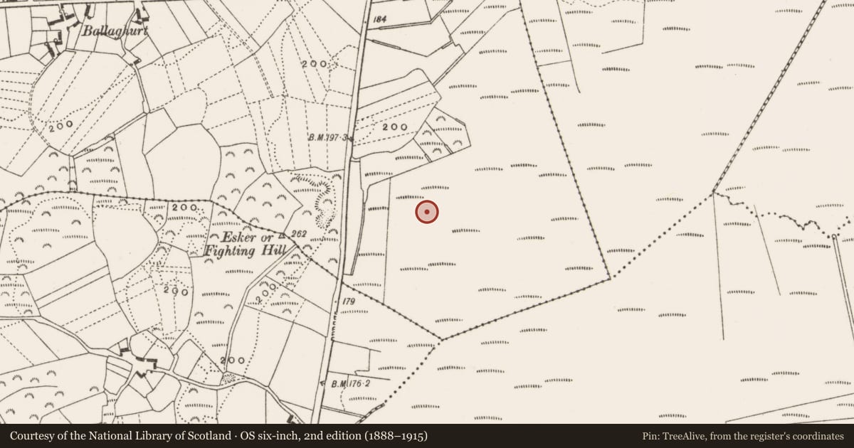 Ordnance Survey six-inch map, 2nd edition (1888–1915) covering the location of Post row - peatland, Clonfinlough, County Offaly, with a pin at the register's coordinates