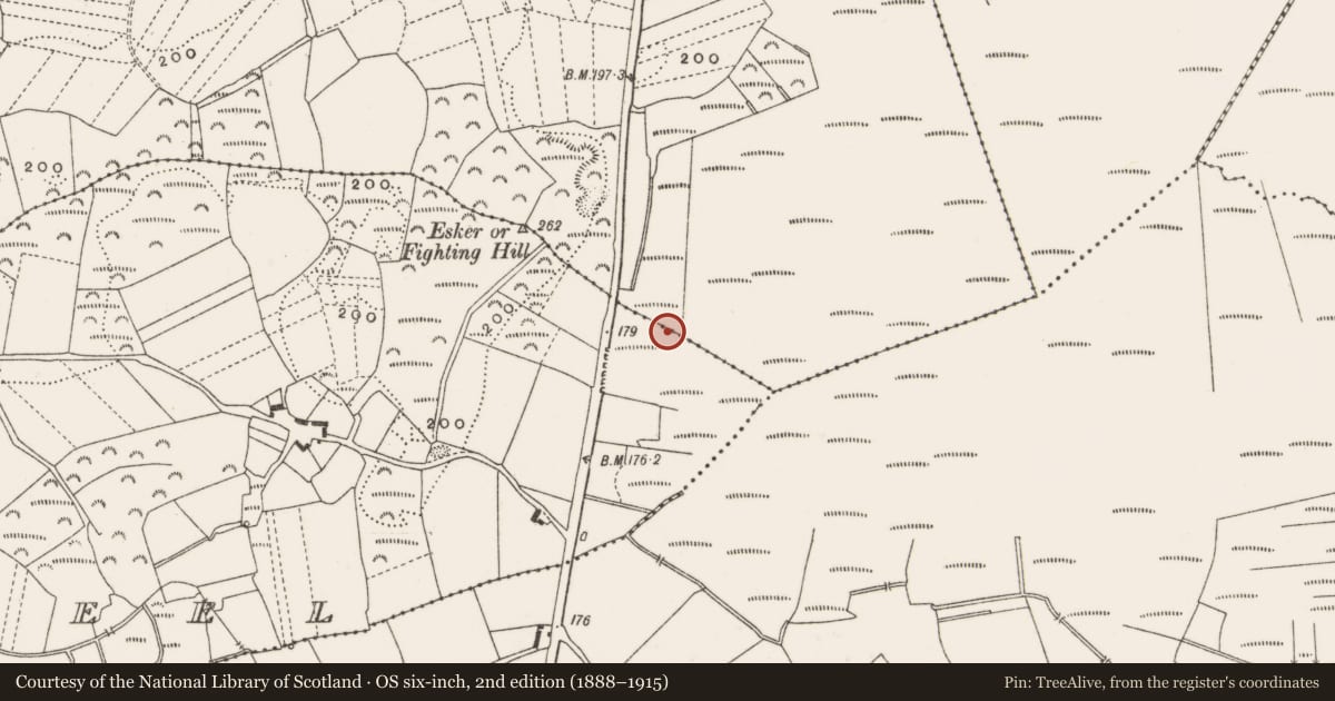 Ordnance Survey six-inch map, 2nd edition (1888–1915) covering the location of Post row - peatland, Carrowkeel, Clonfinlough, County Offaly, with a pin at the register's coordinates
