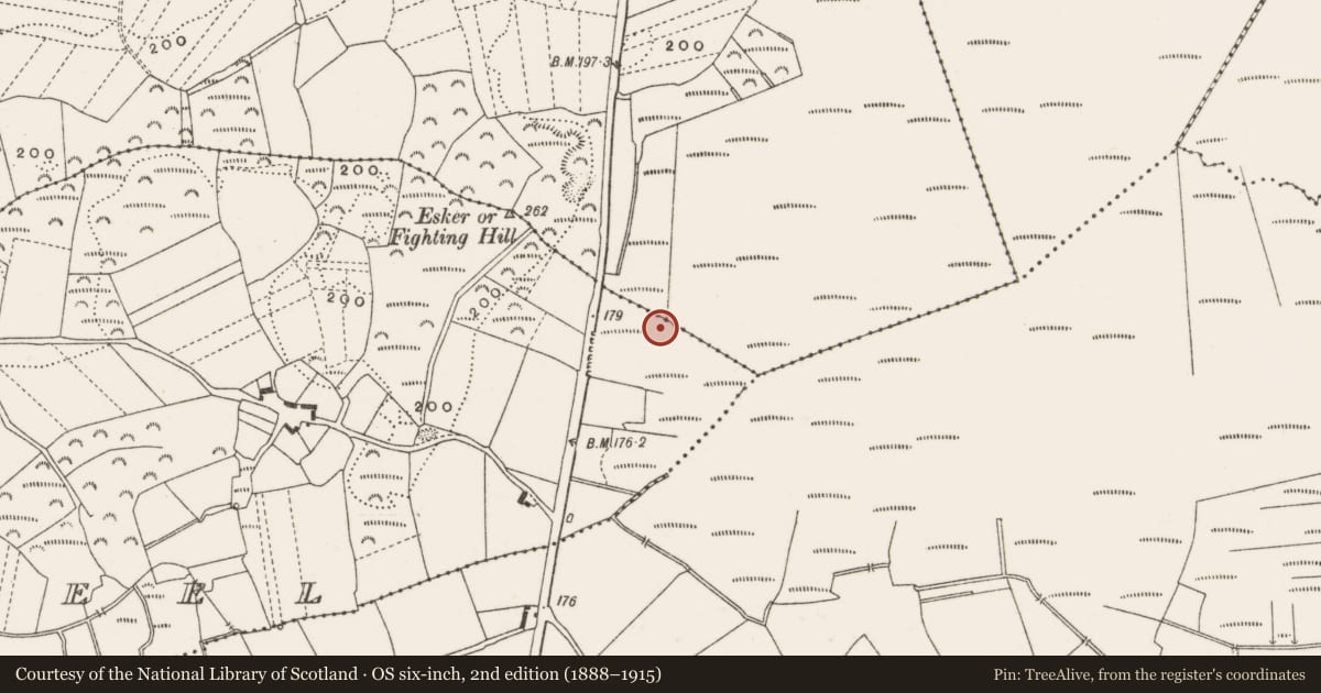 Ordnance Survey six-inch map, 2nd edition (1888–1915) covering the location of Road - class 3 togher, Carrowkeel, Clonfinlough, County Offaly, with a pin at the register's coordinates