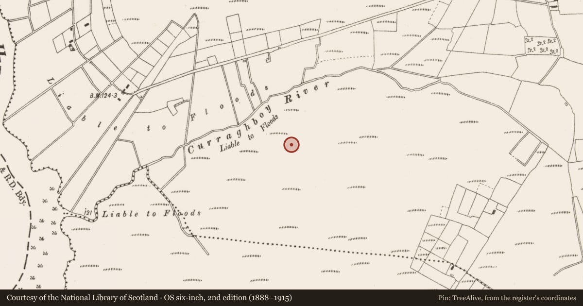 Ordnance Survey six-inch map, 2nd edition (1888–1915) covering the location of Road - class 3 togher, Cloncraff Or Bloomhill, County Offaly, with a pin at the register's coordinates