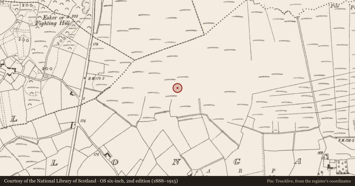 Ordnance Survey six-inch map, 2nd edition (1888–1915) covering the location of Post row - peatland, Clongawny, County Offaly, with a pin at the register's coordinates