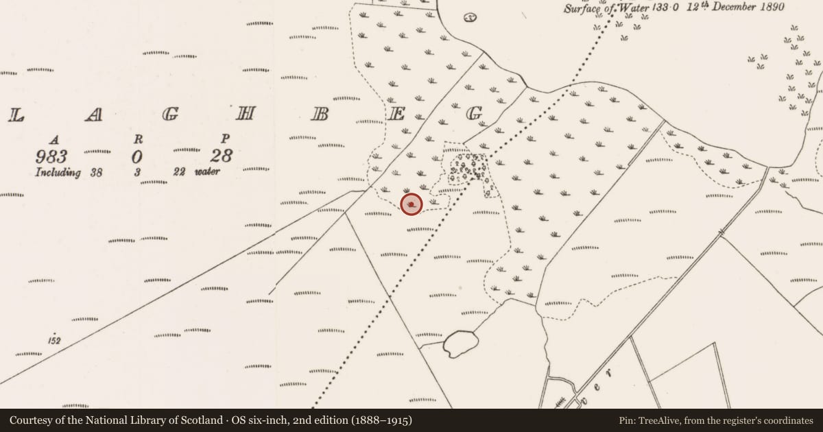 Ordnance Survey six-inch map, 2nd edition (1888–1915) covering the location of Crannog, Tullaghbeg, County Offaly, with a pin at the register's coordinates