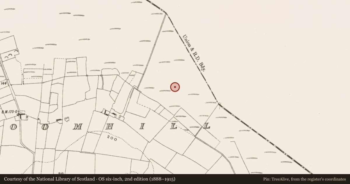 Ordnance Survey six-inch map, 2nd edition (1888–1915) covering the location of Structure - peatland, Cloncraff Or Bloomhill, County Offaly, with a pin at the register's coordinates