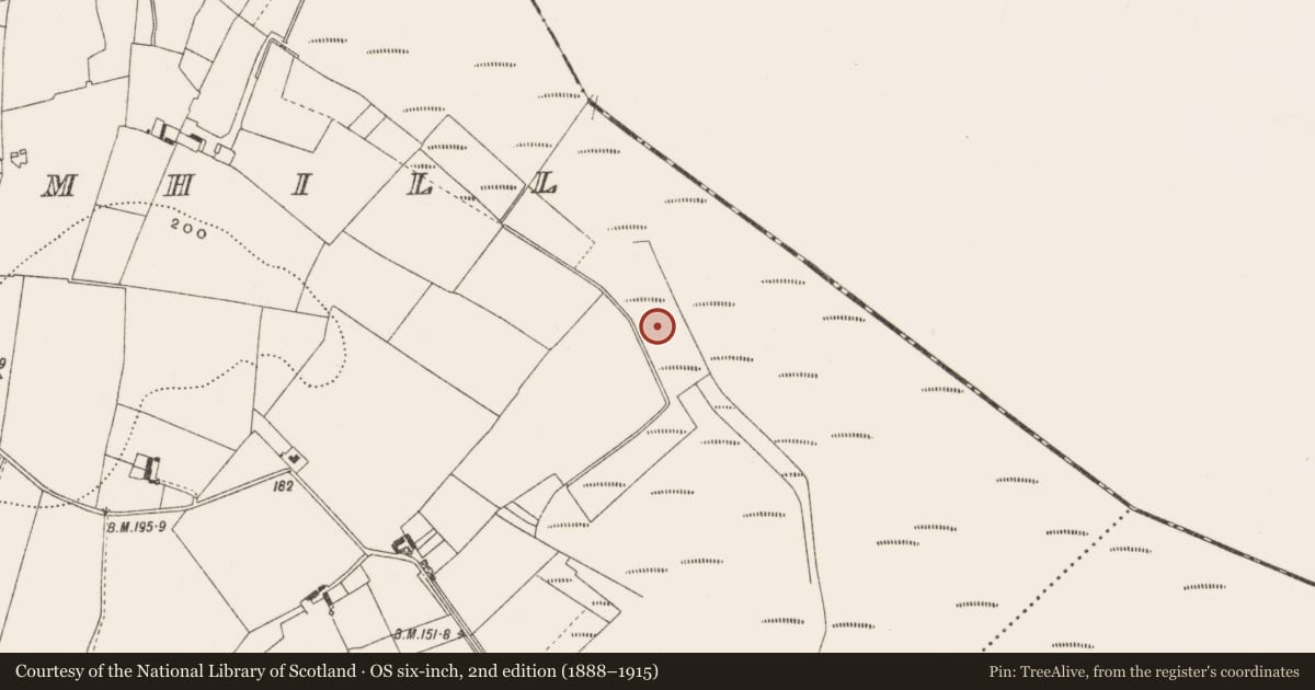 Ordnance Survey six-inch map, 2nd edition (1888–1915) covering the location of Structure - peatland, Cloncraff Or Bloomhill, County Offaly, with a pin at the register's coordinates
