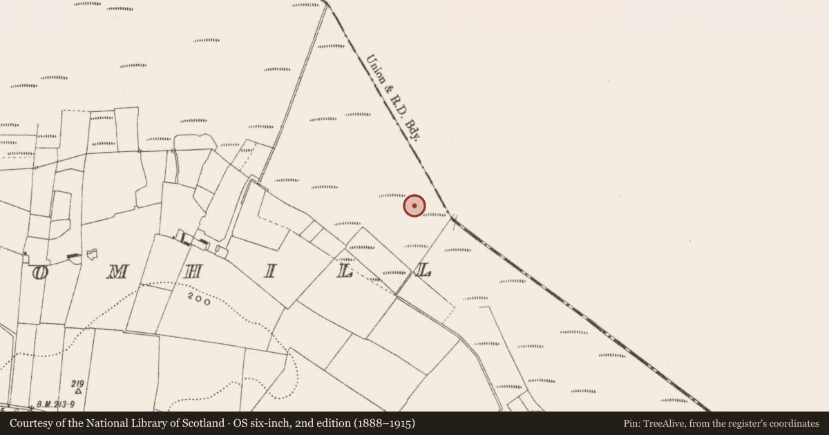 Ordnance Survey six-inch map, 2nd edition (1888–1915) covering the location of Road - class 3 togher, Cloncraff Or Bloomhill, County Offaly, with a pin at the register's coordinates
