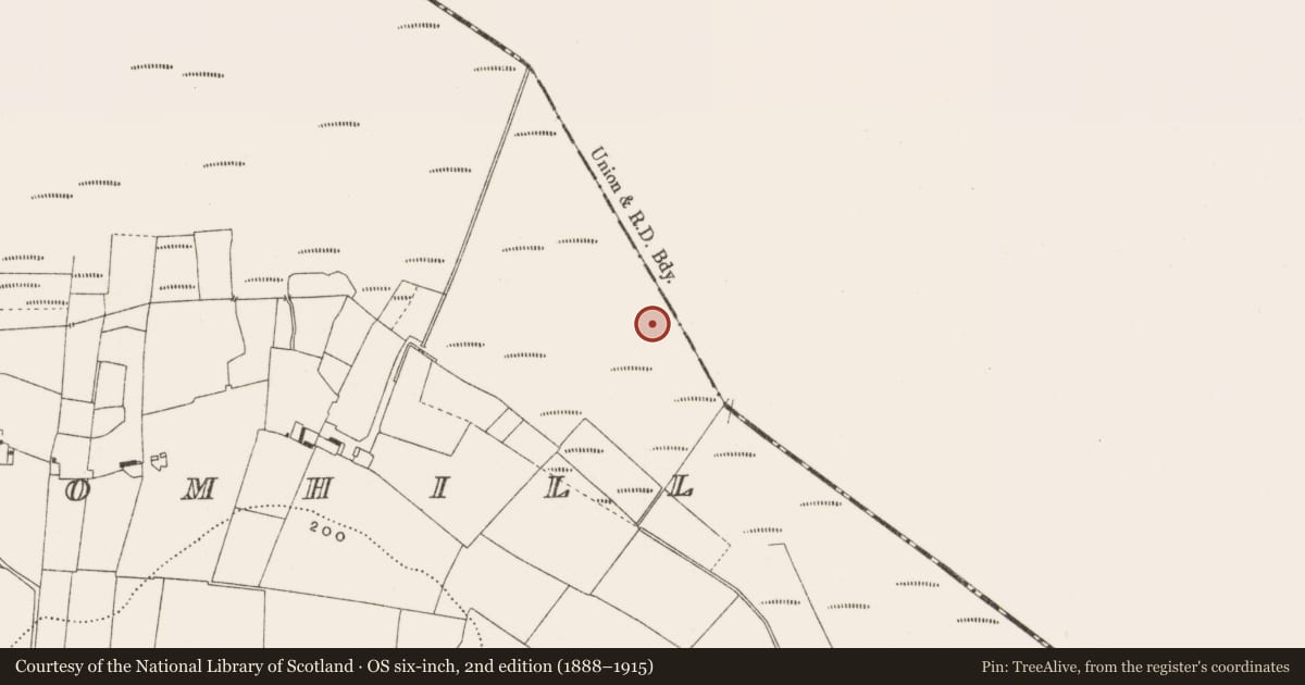 Ordnance Survey six-inch map, 2nd edition (1888–1915) covering the location of Structure - peatland, Cloncraff Or Bloomhill, County Offaly, with a pin at the register's coordinates
