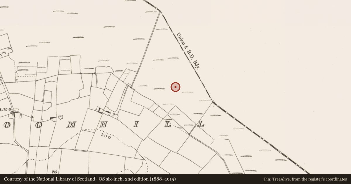 Ordnance Survey six-inch map, 2nd edition (1888–1915) covering the location of Structure - peatland, Cloncraff Or Bloomhill, County Offaly, with a pin at the register's coordinates