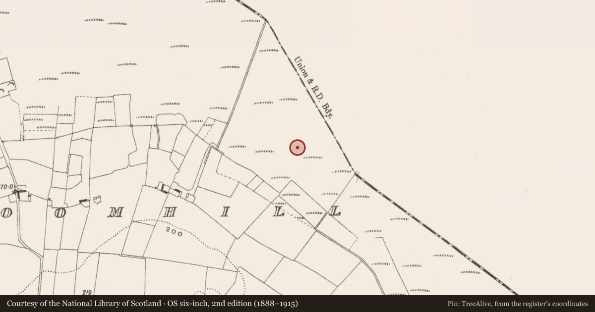 Ordnance Survey six-inch map, 2nd edition (1888–1915) covering the location of Road - class 3 togher, Cloncraff Or Bloomhill, County Offaly, with a pin at the register's coordinates