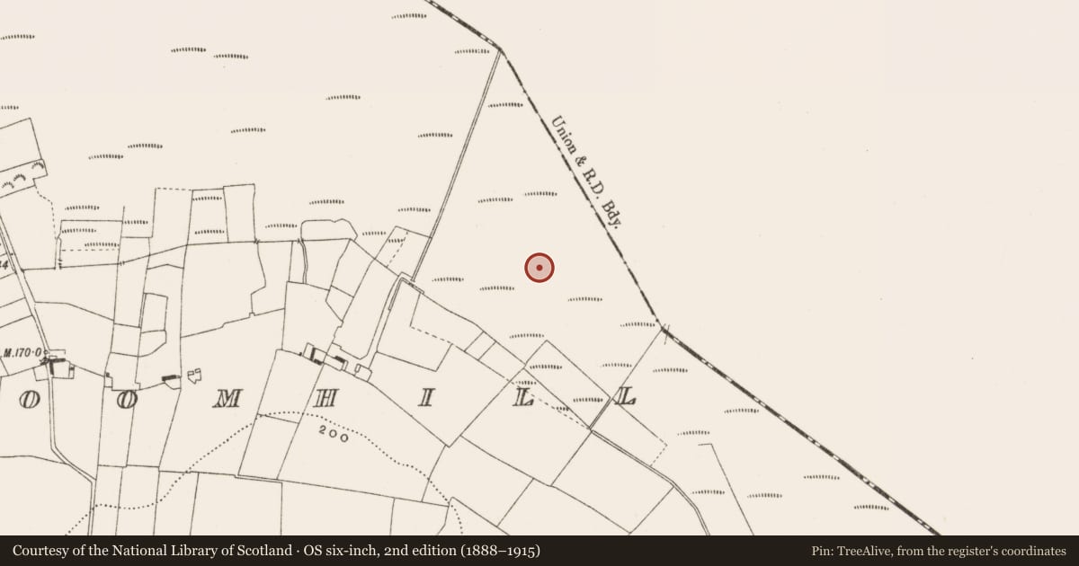 Ordnance Survey six-inch map, 2nd edition (1888–1915) covering the location of Structure - peatland, Cloncraff Or Bloomhill, County Offaly, with a pin at the register's coordinates