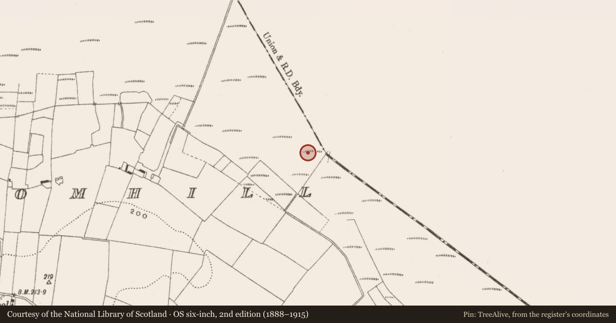 Ordnance Survey six-inch map, 2nd edition (1888–1915) covering the location of Structure - peatland, Cloncraff Or Bloomhill, County Offaly, with a pin at the register's coordinates