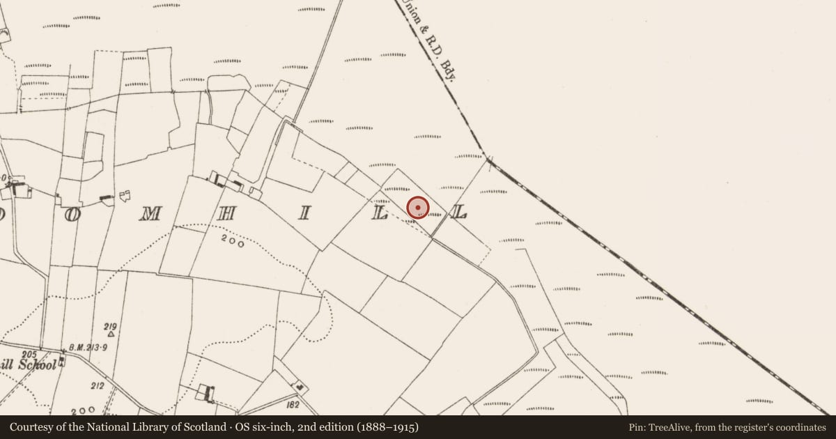 Ordnance Survey six-inch map, 2nd edition (1888–1915) covering the location of Structure - peatland, Cloncraff Or Bloomhill, County Offaly, with a pin at the register's coordinates