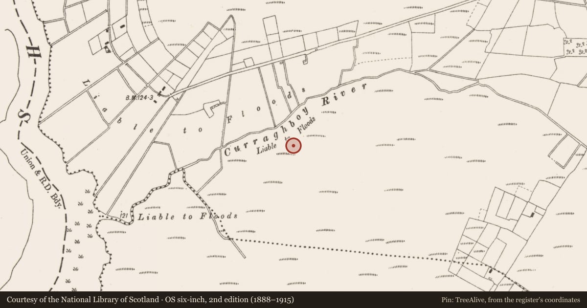 Ordnance Survey six-inch map, 2nd edition (1888–1915) covering the location of Structure - peatland, Cloncraff Or Bloomhill, County Offaly, with a pin at the register's coordinates