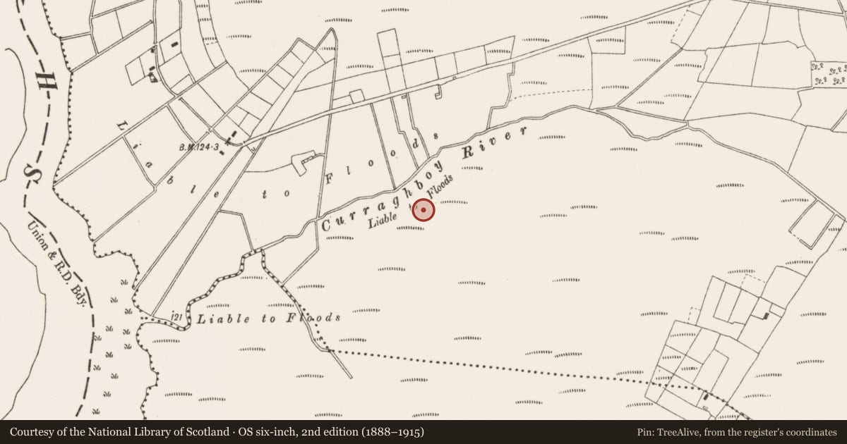 Ordnance Survey six-inch map, 2nd edition (1888–1915) covering the location of Structure - peatland, Cloncraff Or Bloomhill, County Offaly, with a pin at the register's coordinates