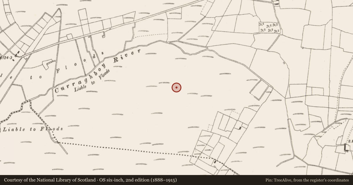 Ordnance Survey six-inch map, 2nd edition (1888–1915) covering the location of Structure - peatland, Cloncraff Or Bloomhill, County Offaly, with a pin at the register's coordinates