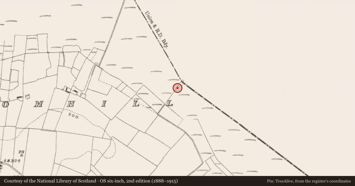 Ordnance Survey six-inch map, 2nd edition (1888–1915) covering the location of Post row - peatland, Cloncraff Or Bloomhill, County Offaly, with a pin at the register's coordinates