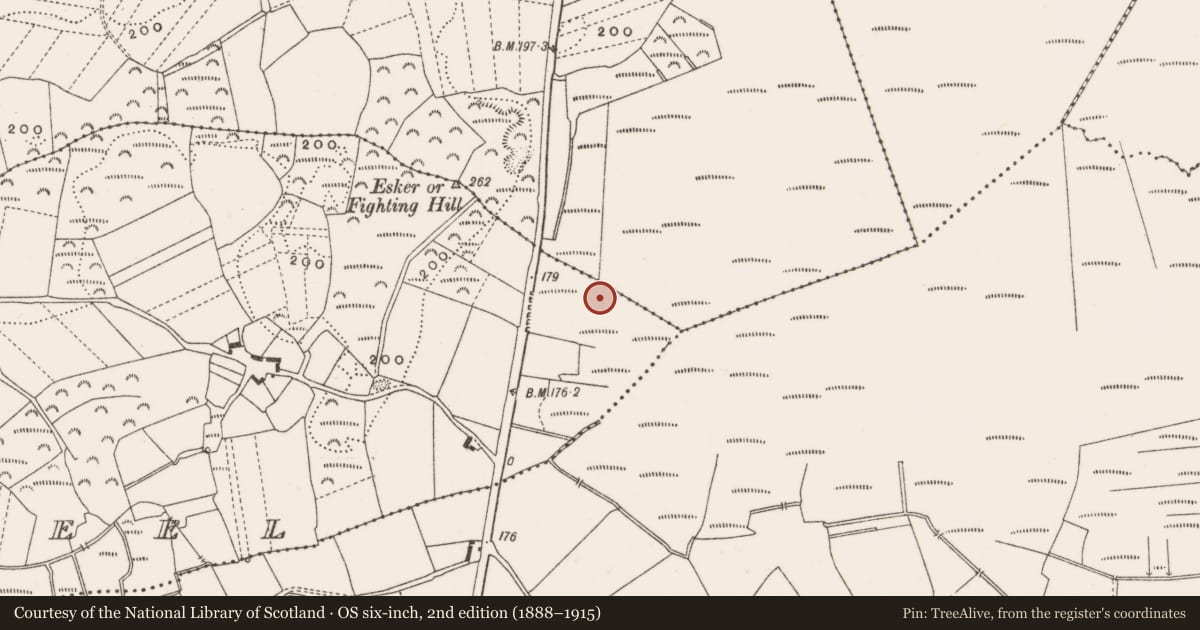 Ordnance Survey six-inch map, 2nd edition (1888–1915) covering the location of Structure - peatland, Carrowkeel, Clonfinlough, County Offaly, with a pin at the register's coordinates