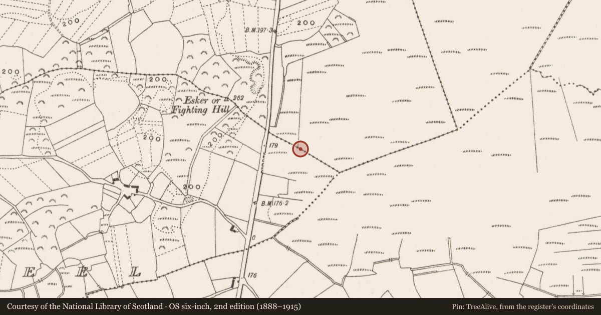 Ordnance Survey six-inch map, 2nd edition (1888–1915) covering the location of Road - class 3 togher, Carrowkeel, Clonfinlough, County Offaly, with a pin at the register's coordinates
