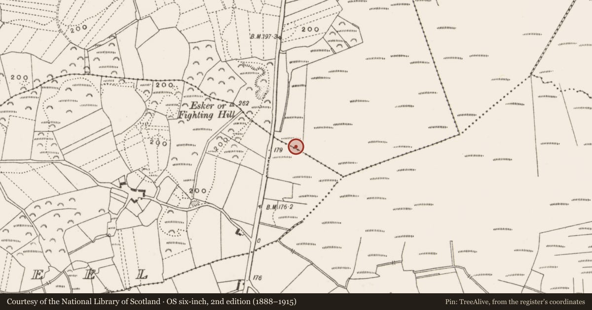 Ordnance Survey six-inch map, 2nd edition (1888–1915) covering the location of Structure - peatland, Clonfinlough, County Offaly, with a pin at the register's coordinates