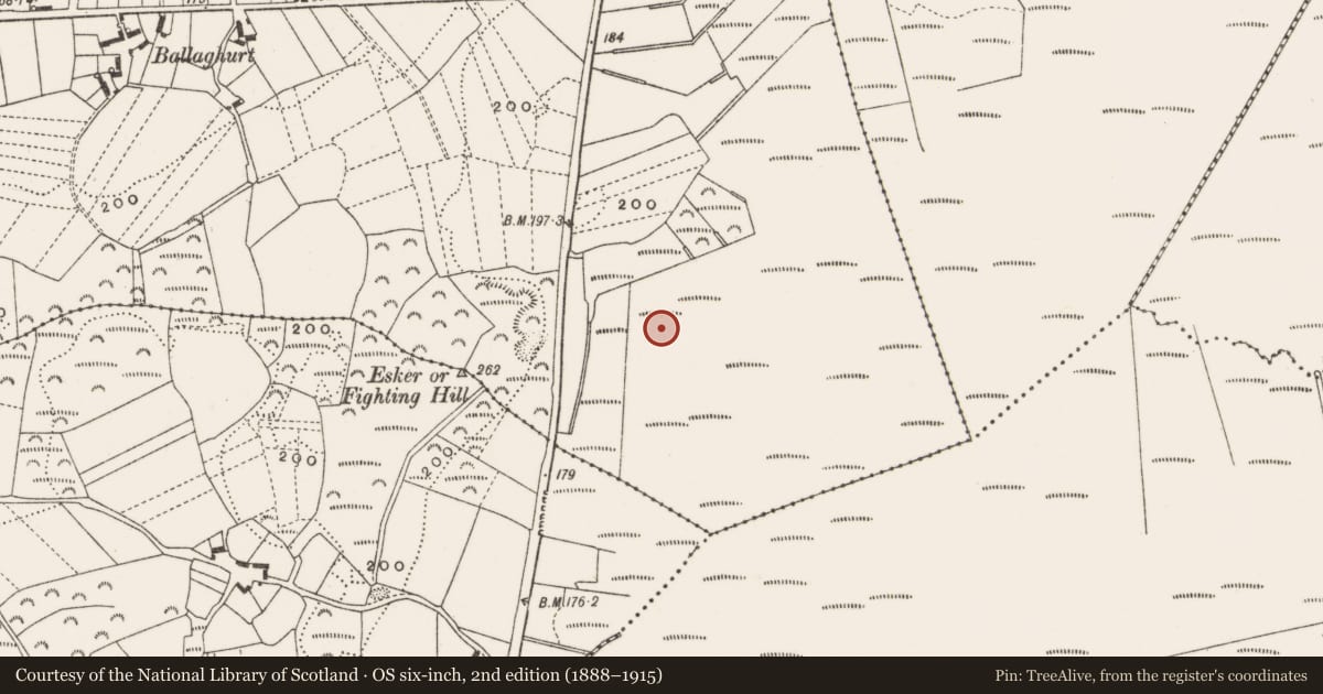 Ordnance Survey six-inch map, 2nd edition (1888–1915) covering the location of Structure - peatland, Clonfinlough, County Offaly, with a pin at the register's coordinates