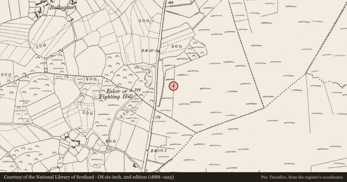 Ordnance Survey six-inch map, 2nd edition (1888–1915) covering the location of Road - class 3 togher, Clonfinlough, County Offaly, with a pin at the register's coordinates