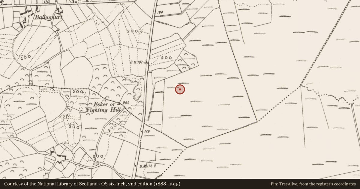 Ordnance Survey six-inch map, 2nd edition (1888–1915) covering the location of Structure - peatland, Clonfinlough, County Offaly, with a pin at the register's coordinates