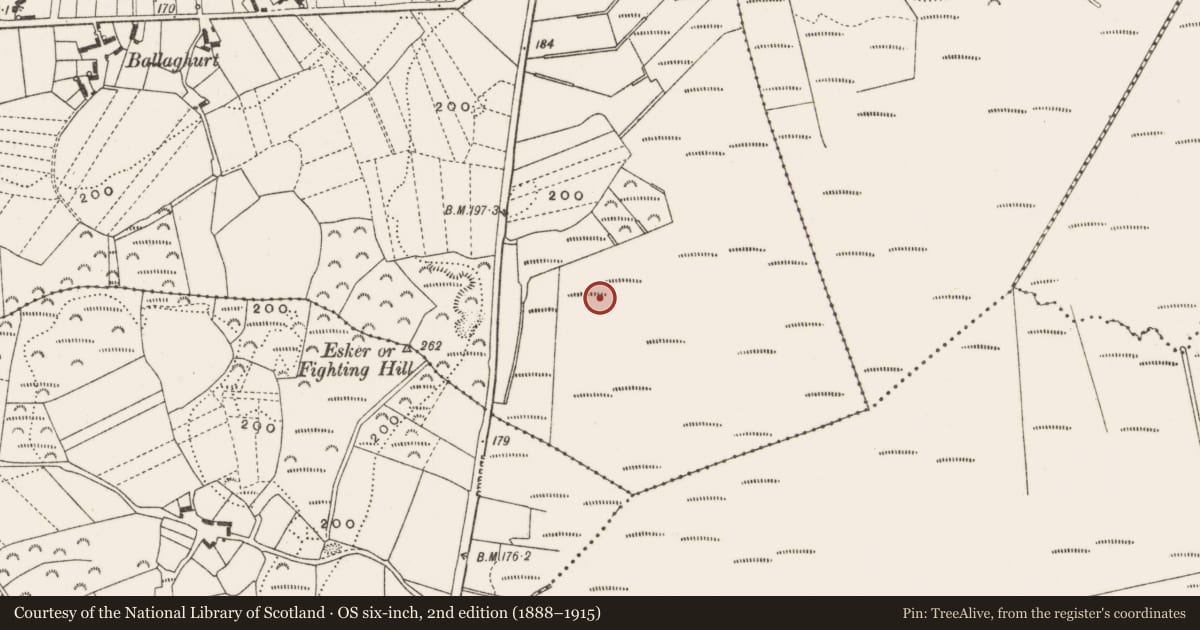 Ordnance Survey six-inch map, 2nd edition (1888–1915) covering the location of Structure - peatland, Clonfinlough, County Offaly, with a pin at the register's coordinates