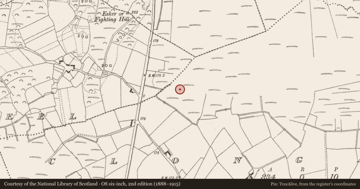 Ordnance Survey six-inch map, 2nd edition (1888–1915) covering the location of Structure - peatland, Clongawny, County Offaly, with a pin at the register's coordinates