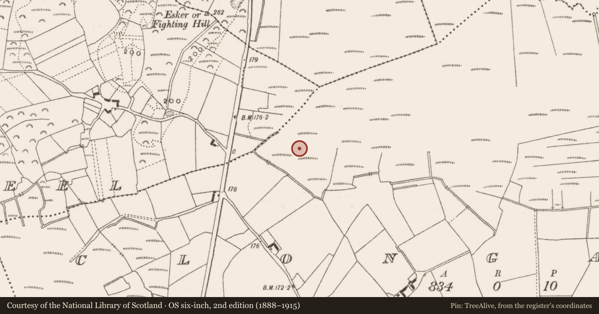 Ordnance Survey six-inch map, 2nd edition (1888–1915) covering the location of Road - class 3 togher, Clongawny, County Offaly, with a pin at the register's coordinates