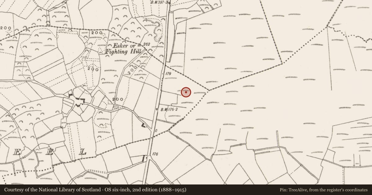 Ordnance Survey six-inch map, 2nd edition (1888–1915) covering the location of Structure - peatland, Carrowkeel, County Offaly, with a pin at the register's coordinates