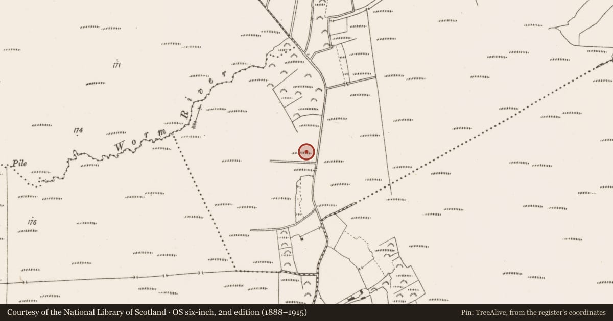 Ordnance Survey six-inch map, 2nd edition (1888–1915) covering the location of Structure - peatland, Lackagh Beg, County Offaly, with a pin at the register's coordinates