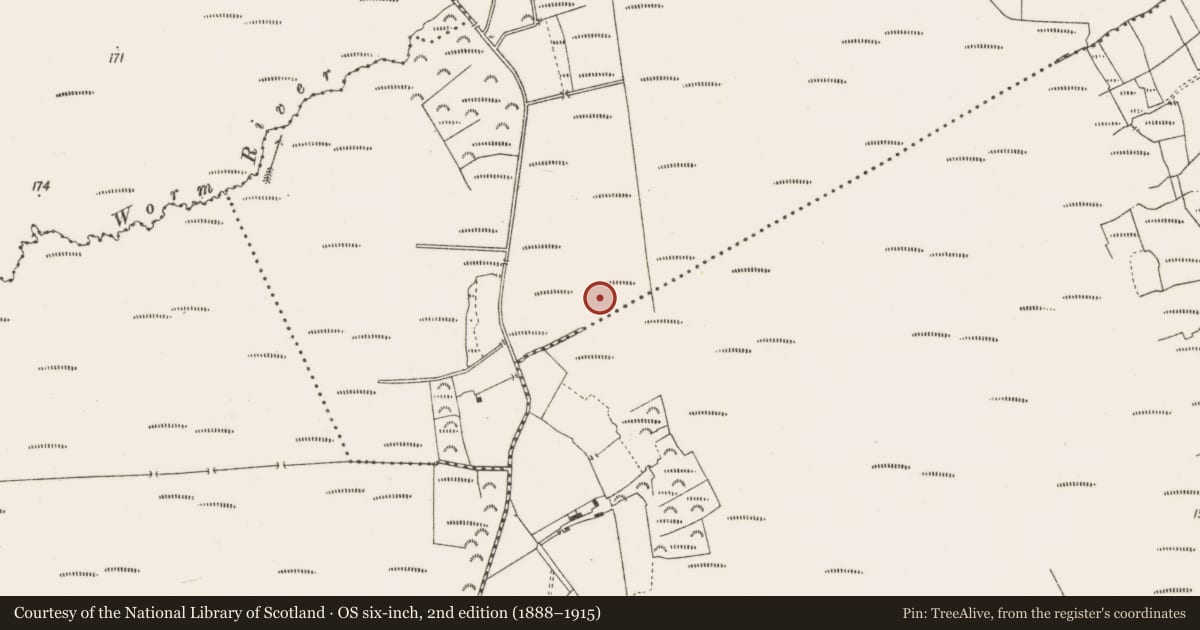 Ordnance Survey six-inch map, 2nd edition (1888–1915) covering the location of Structure - peatland, Lackagh Beg, County Offaly, with a pin at the register's coordinates