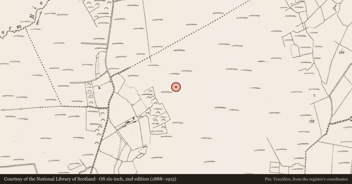 Ordnance Survey six-inch map, 2nd edition (1888–1915) covering the location of Structure - peatland, Lackagh More, County Offaly, with a pin at the register's coordinates