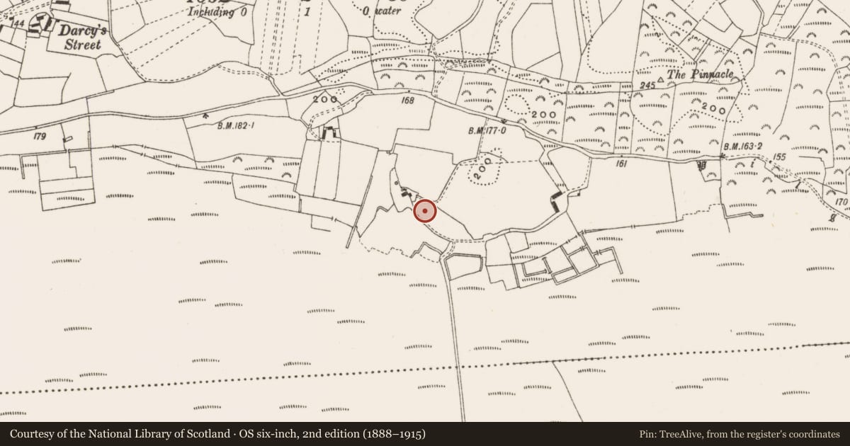 Ordnance Survey six-inch map, 2nd edition (1888–1915) covering the location of Road - road/trackway, Clonascra, County Offaly, with a pin at the register's coordinates