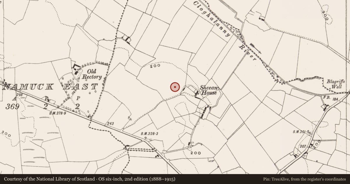 Ordnance Survey six-inch map, 2nd edition (1888–1915) covering the location of Ringfort - unclassified, Cloghatanny, County Offaly, with a pin at the register's coordinates