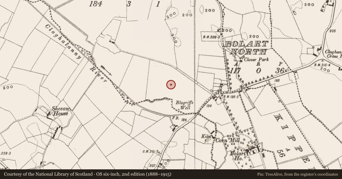 Ordnance Survey six-inch map, 2nd edition (1888–1915) covering the location of Field system, Greenville Or Garryduff, County Offaly, with a pin at the register's coordinates