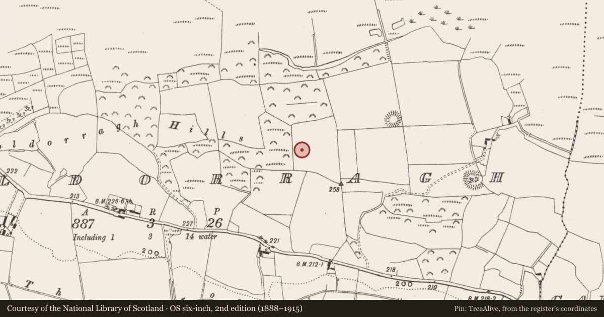 Ordnance Survey six-inch map, 2nd edition (1888–1915) covering the location of Enclosure, Cooldorragh, County Offaly, with a pin at the register's coordinates