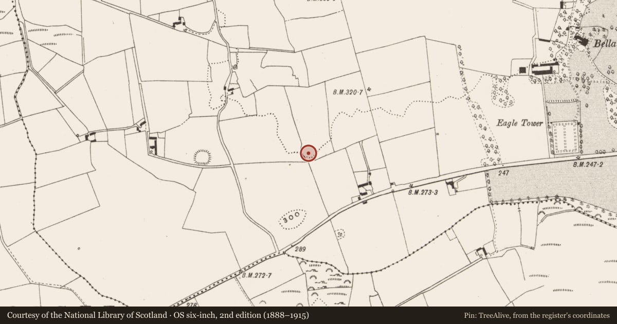 Ordnance Survey six-inch map, 2nd edition (1888–1915) covering the location of Ringfort - rath, Bellair Or Ballyard, County Offaly, with a pin at the register's coordinates