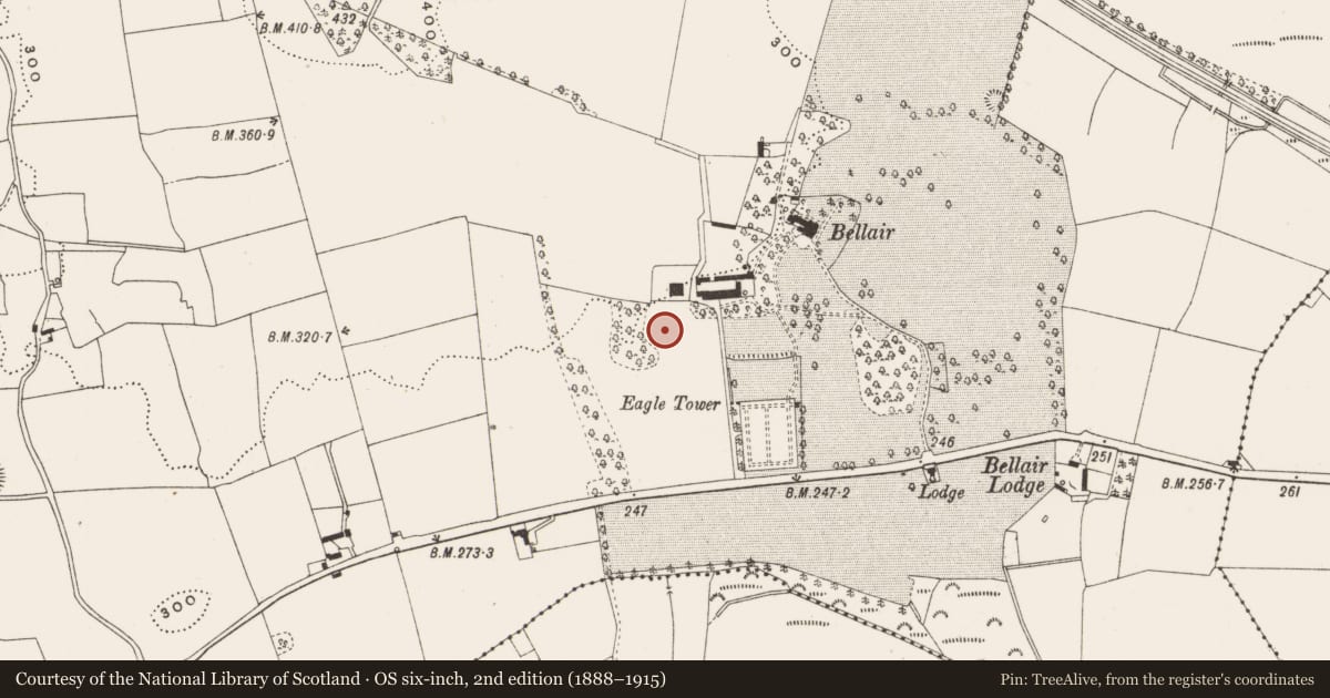 Ordnance Survey six-inch map, 2nd edition (1888–1915) covering the location of Designed landscape - tree-ring, Bellair Or Ballyard, County Offaly, with a pin at the register's coordinates