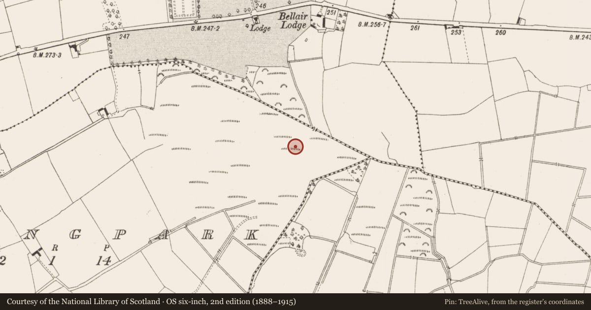 Ordnance Survey six-inch map, 2nd edition (1888–1915) covering the location of Crannog, Springpark, County Offaly, with a pin at the register's coordinates
