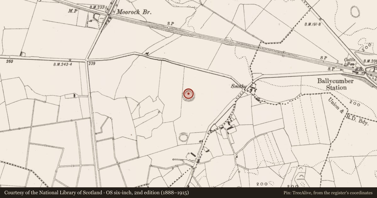 Ordnance Survey six-inch map, 2nd edition (1888–1915) covering the location of Ringfort - rath, Moorock, County Offaly, with a pin at the register's coordinates