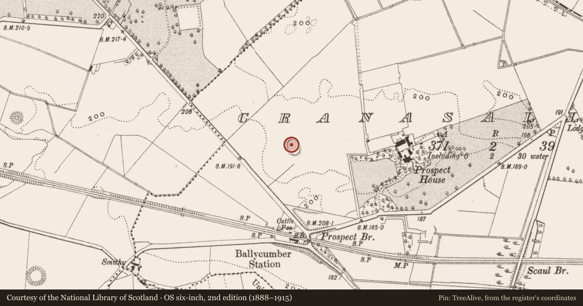 Ordnance Survey six-inch map, 2nd edition (1888–1915) covering the location of Ringfort - unclassified, Cranasallagh, County Offaly, with a pin at the register's coordinates