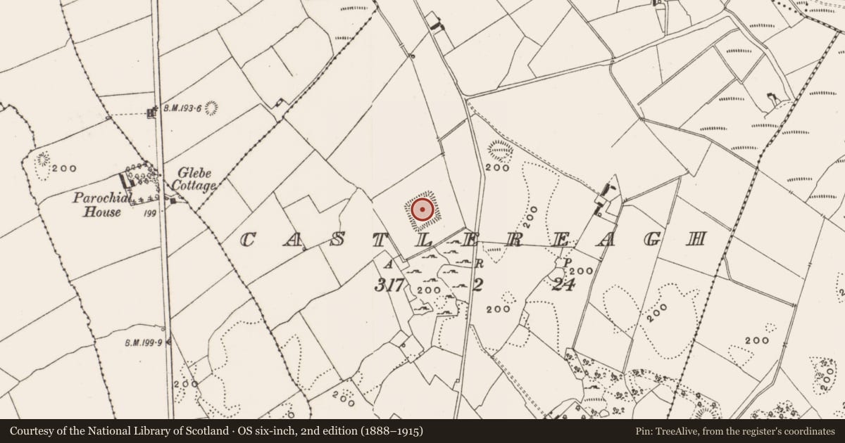Ordnance Survey six-inch map, 2nd edition (1888–1915) covering the location of Moated site, Castlereagh, County Offaly, with a pin at the register's coordinates
