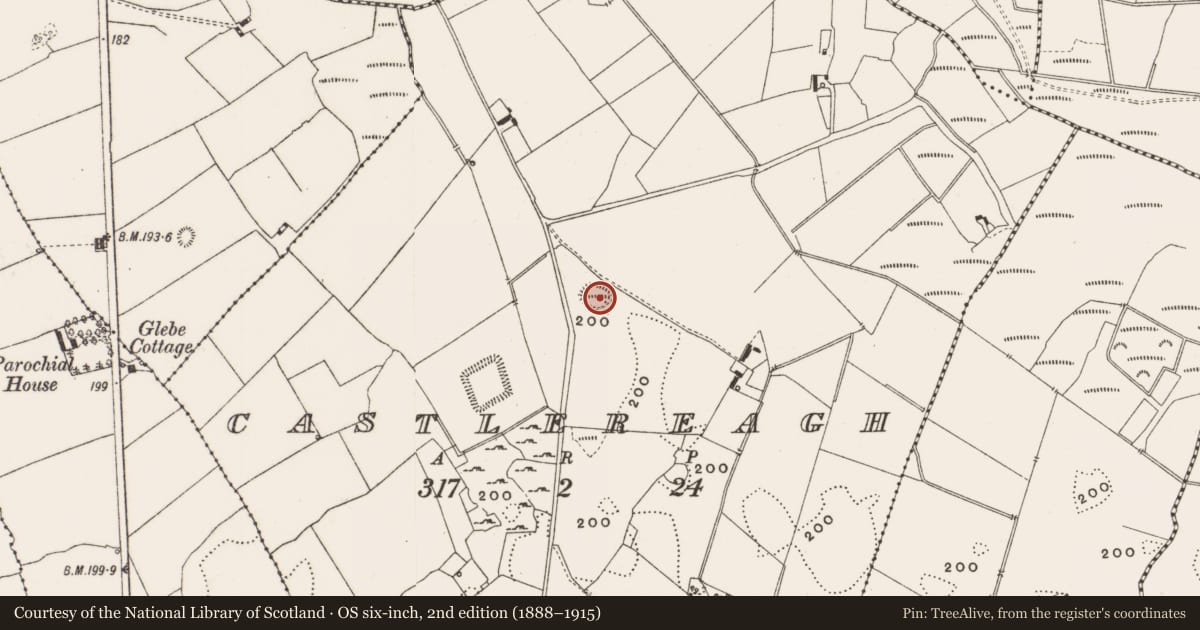 Ordnance Survey six-inch map, 2nd edition (1888–1915) covering the location of Enclosure, Castlereagh, County Offaly, with a pin at the register's coordinates
