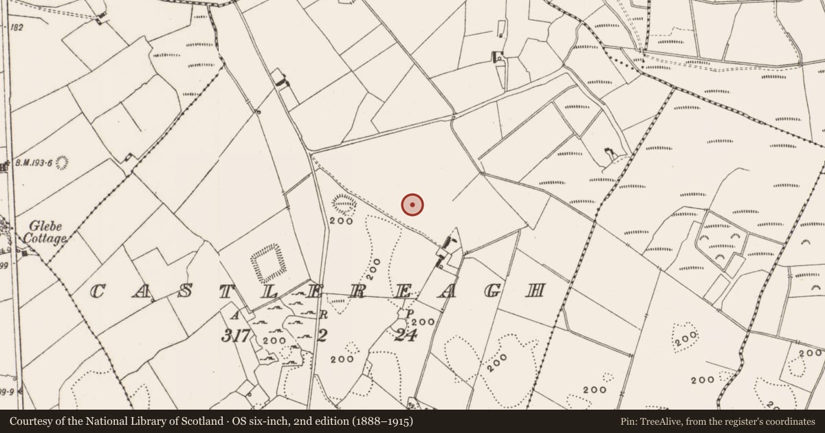Ordnance Survey six-inch map, 2nd edition (1888–1915) covering the location of Enclosure, Castlereagh, County Offaly, with a pin at the register's coordinates