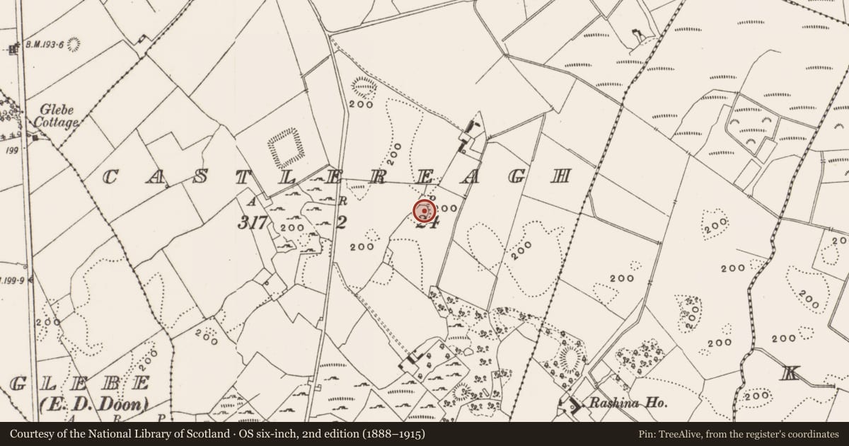 Ordnance Survey six-inch map, 2nd edition (1888–1915) covering the location of Enclosure, Castlereagh, County Offaly, with a pin at the register's coordinates