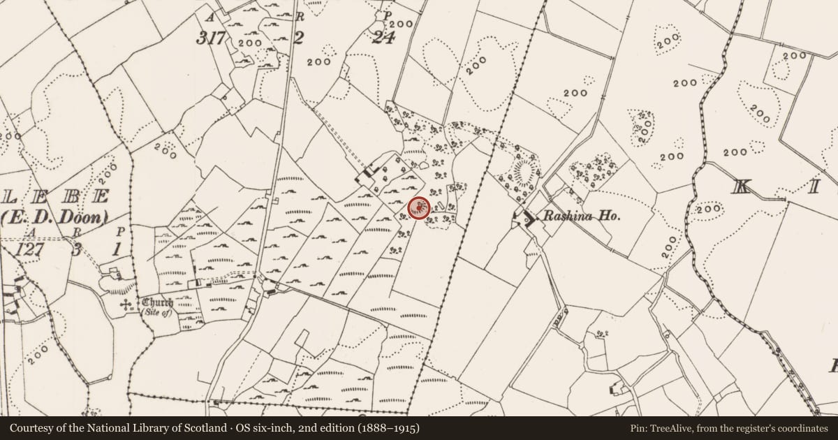 Ordnance Survey six-inch map, 2nd edition (1888–1915) covering the location of Enclosure, Castlereagh, County Offaly, with a pin at the register's coordinates