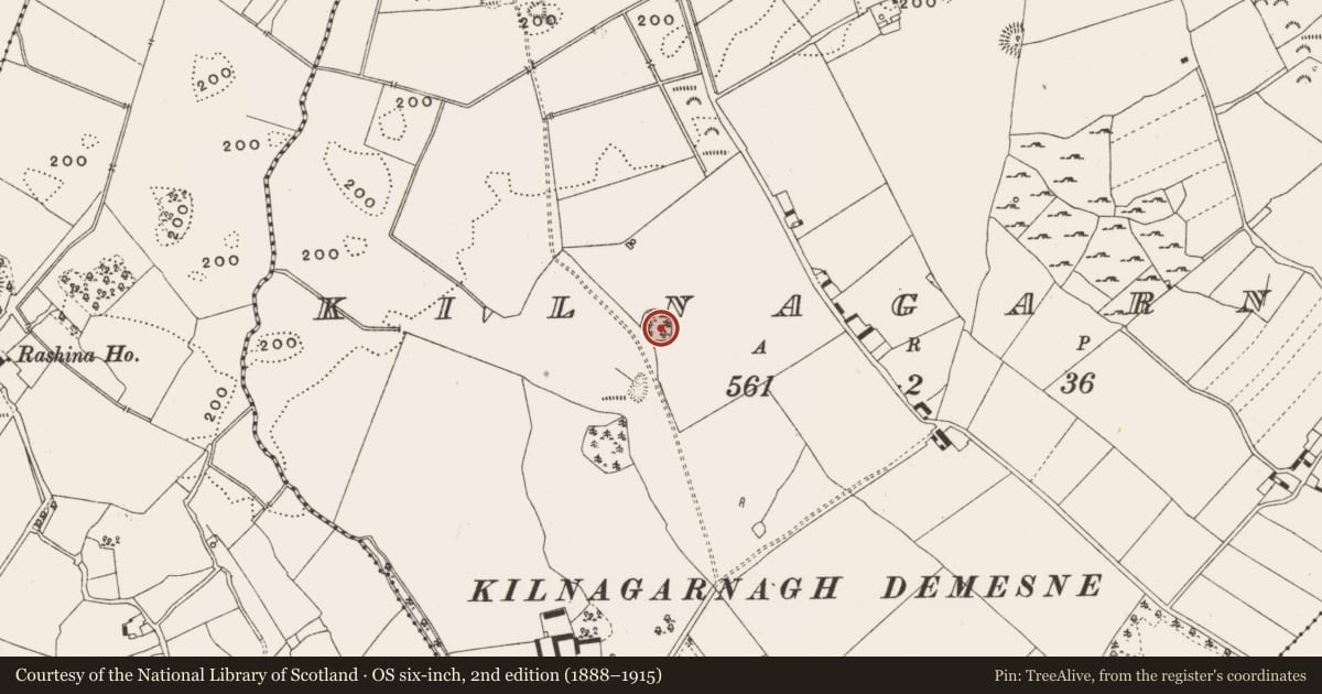 Ordnance Survey six-inch map, 2nd edition (1888–1915) covering the location of Ringfort - rath, Kilnagarnagh, County Offaly, with a pin at the register's coordinates