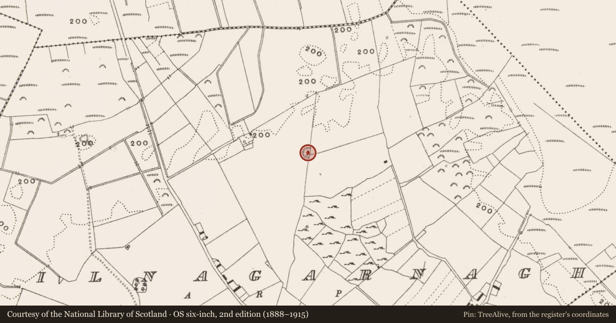 Ordnance Survey six-inch map, 2nd edition (1888–1915) covering the location of Ringfort - rath, Kilnagarnagh, County Offaly, with a pin at the register's coordinates