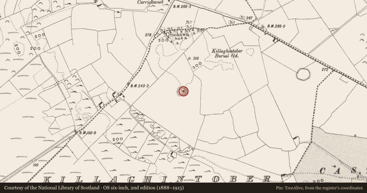 Ordnance Survey six-inch map, 2nd edition (1888–1915) covering the location of Ringfort - cashel, Killaghintober, County Offaly, with a pin at the register's coordinates