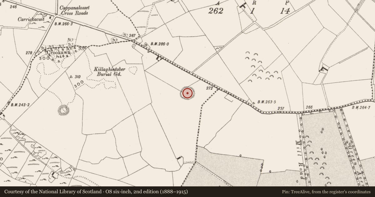 Ordnance Survey six-inch map, 2nd edition (1888–1915) covering the location of Ringfort - rath, Killaghintober, County Offaly, with a pin at the register's coordinates